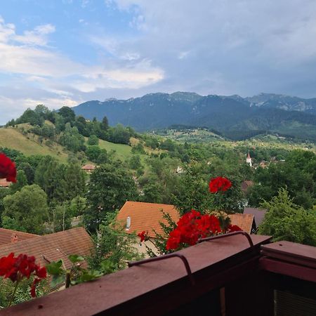Vila Muntii Bucegi & Spa Bran  Exterior photo