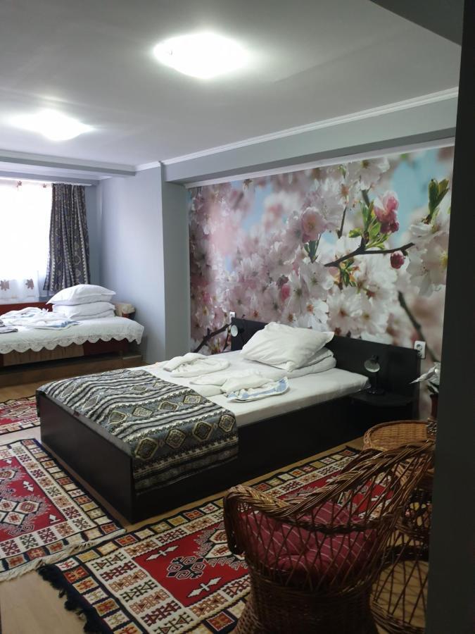 Vila Muntii Bucegi & Spa Bran  Exterior photo