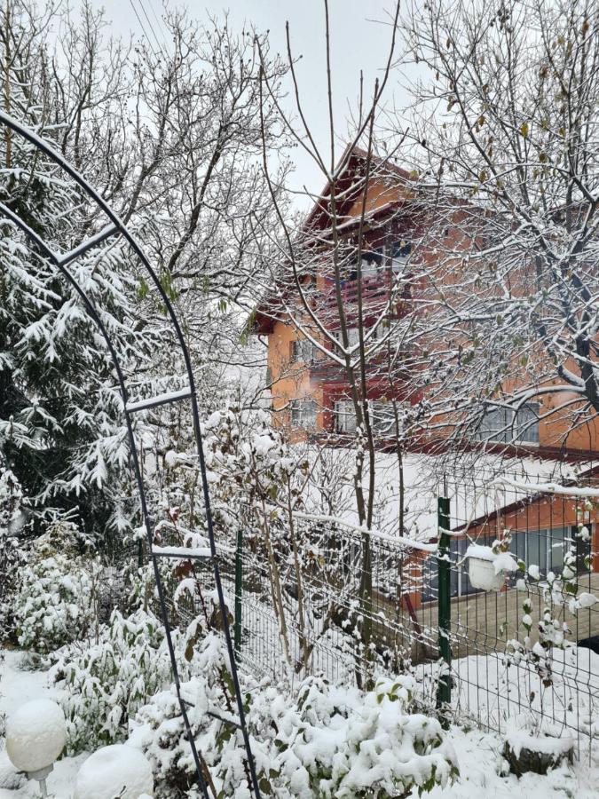Vila Muntii Bucegi & Spa Bran  Exterior photo