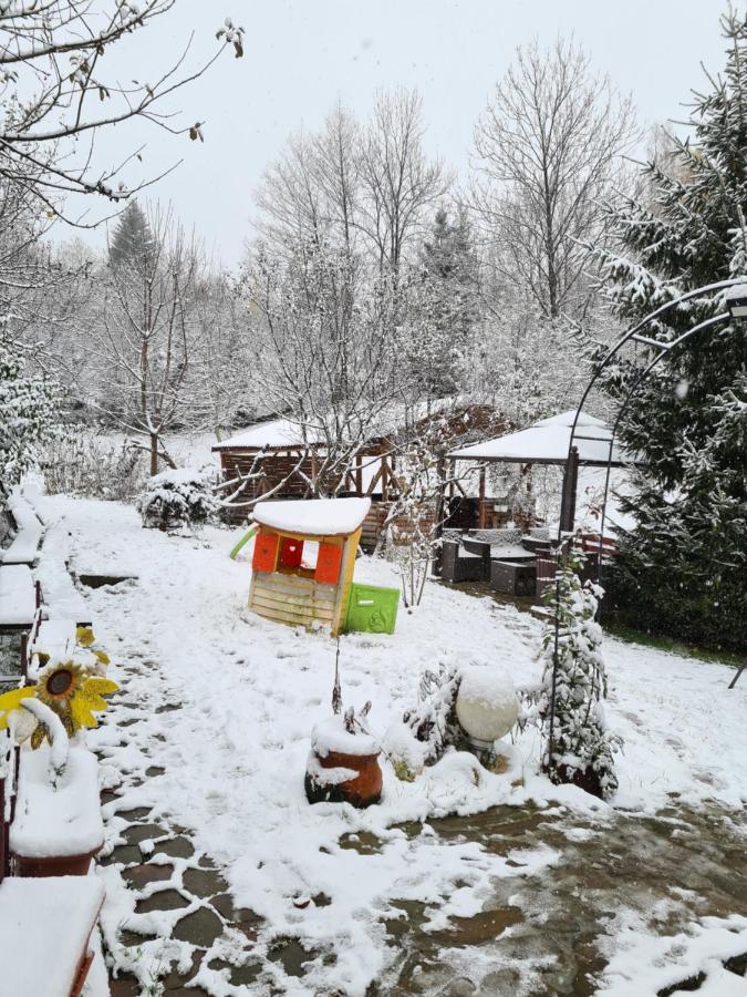 Vila Muntii Bucegi & Spa Bran  Exterior photo