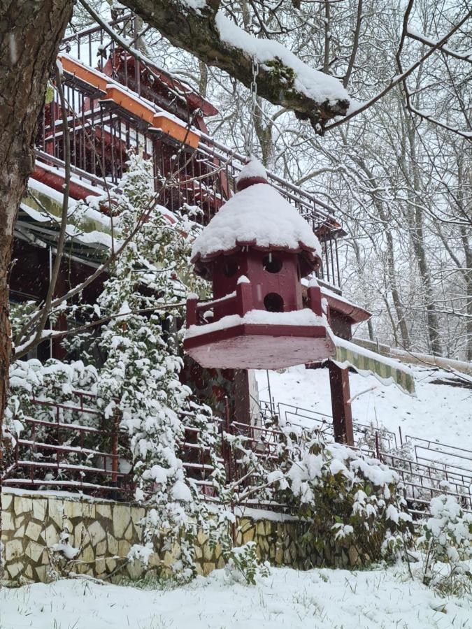 Vila Muntii Bucegi & Spa Bran  Exterior photo