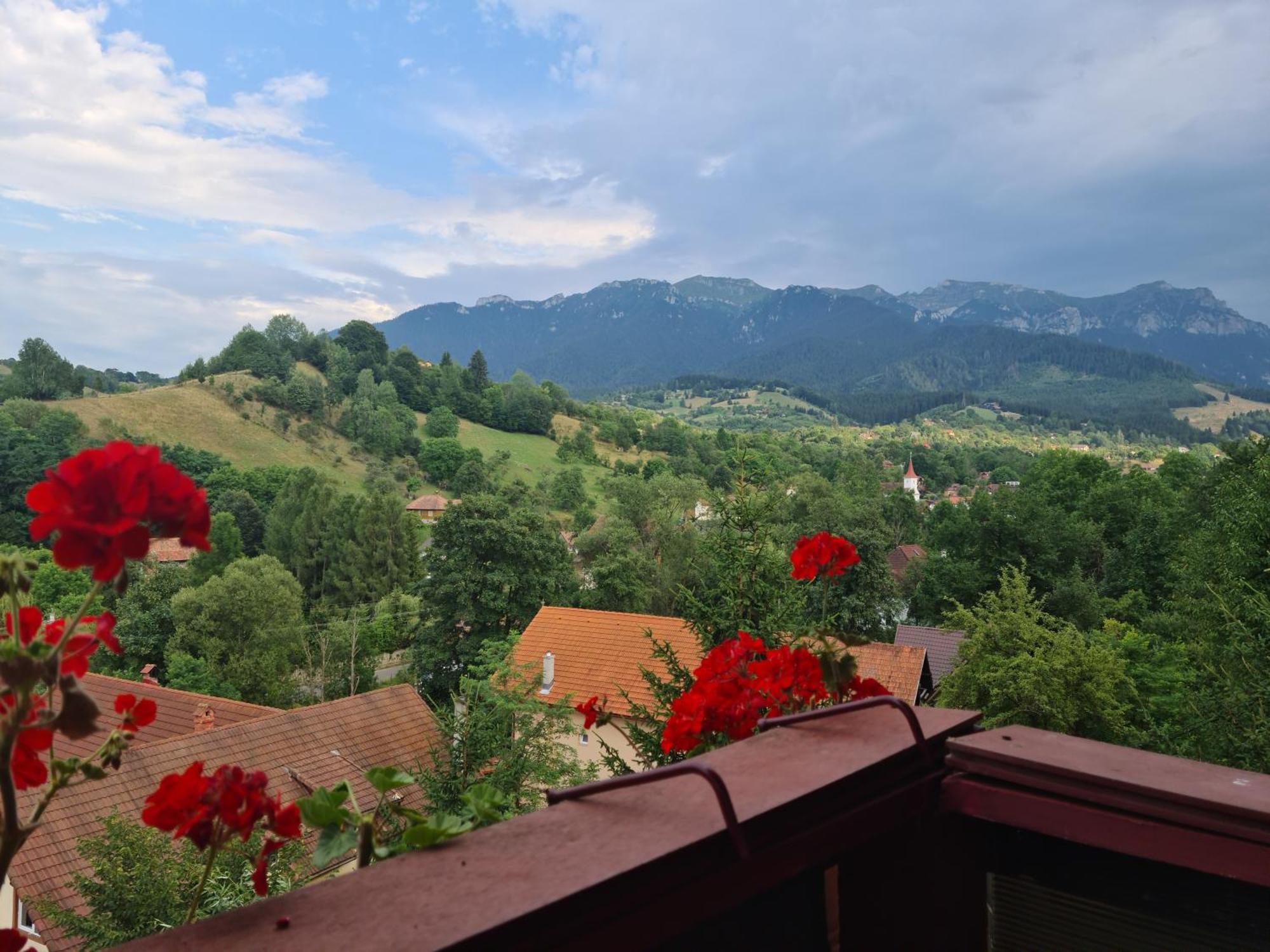 Vila Muntii Bucegi & Spa Bran  Exterior photo